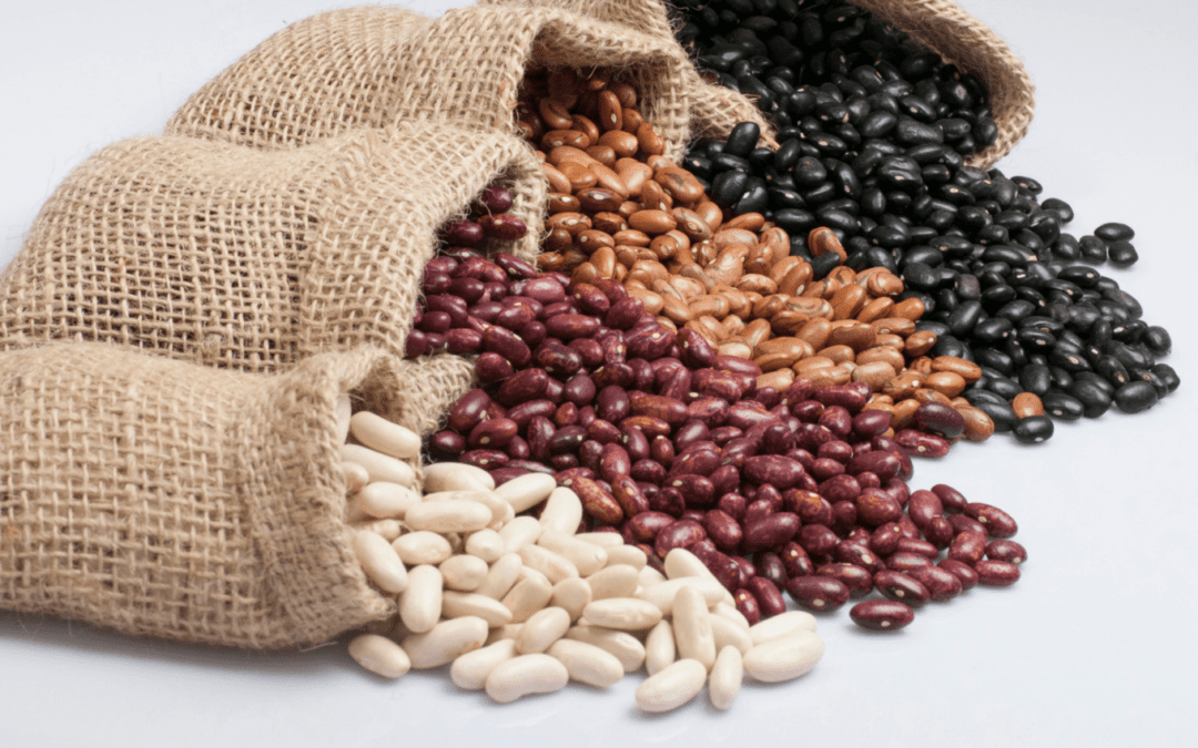 Red vs white kidney beans